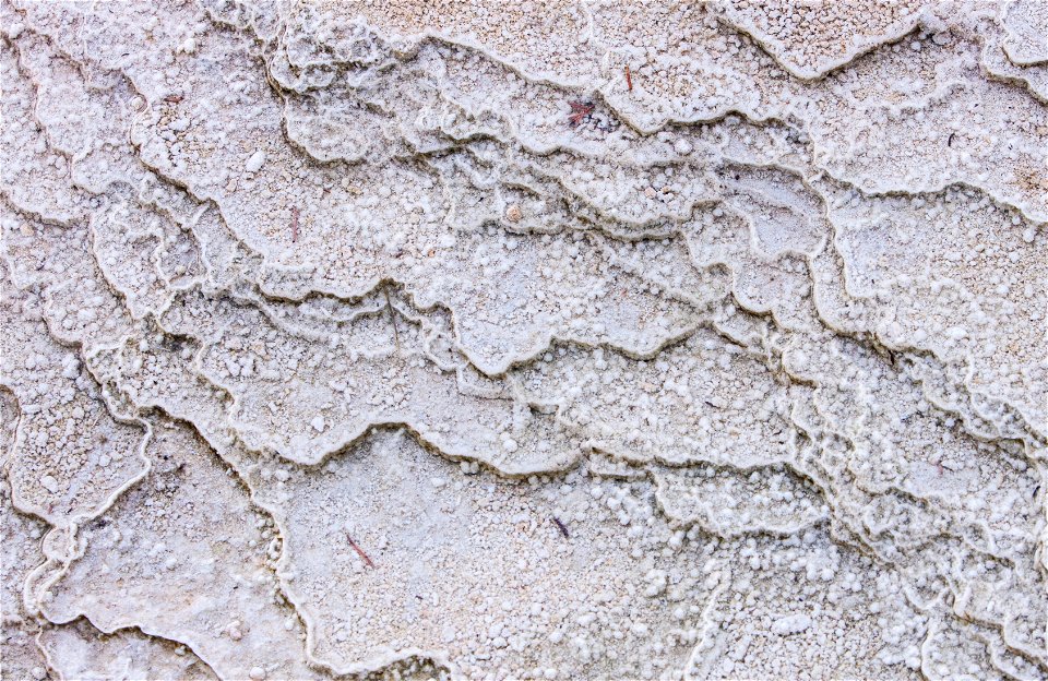Yellowstone Texture