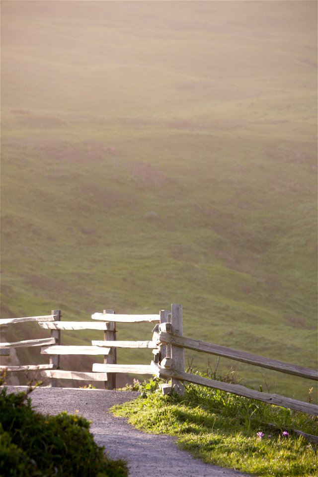 Point Reyes golden hour