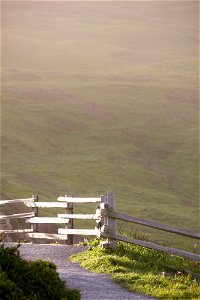 Point Reyes golden hour