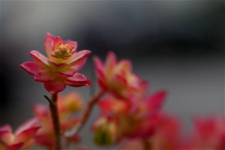 P1088828