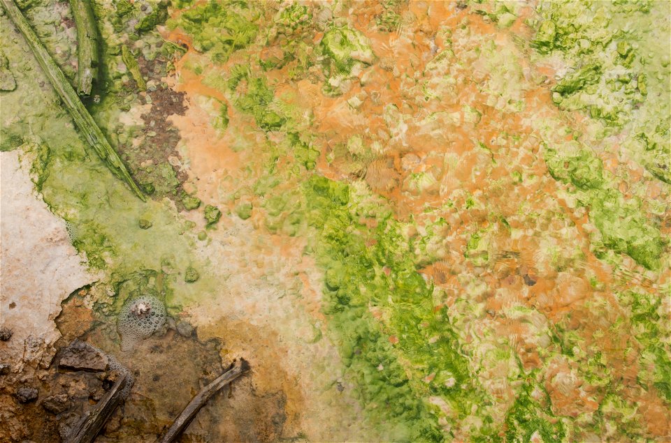 Yellowstone Texture