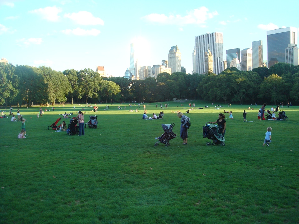 People enjoying relaxing outdoors in Central Park