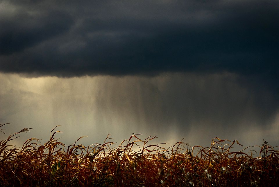 somewhere it rains