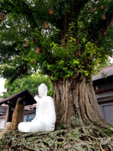 Chùa Phật Đà - Hà Tiên photo