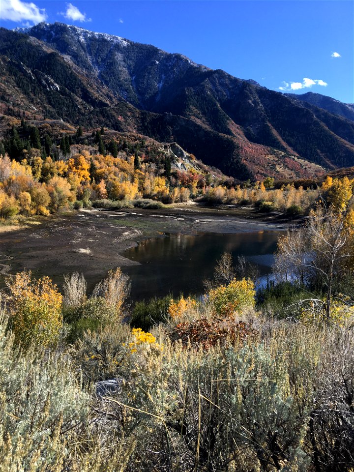 Bells Canyon, Uinta-Wasatch-Cache National Forest, Utah