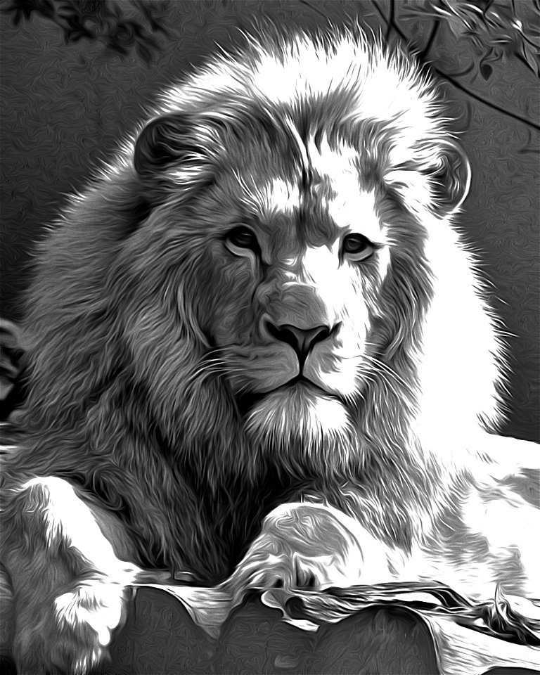 close-up-portrait-of-lion-1_resultat