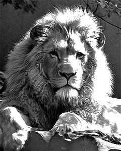 close-up-portrait-of-lion-1_resultat photo