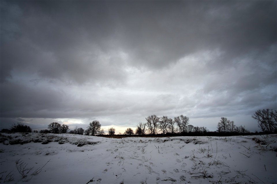 winter evening