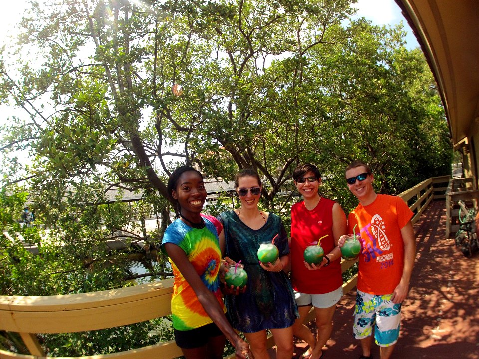 Fish Bowls and friends