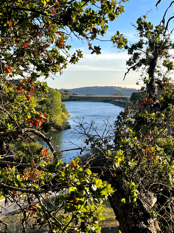 Laura Reservoir