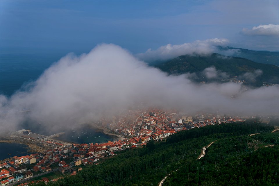 Nieblas marinas - Marine fogs photo