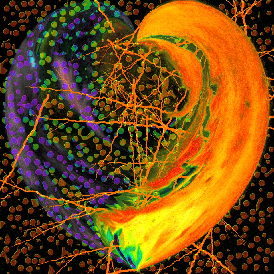 abstract heart04 photoshop