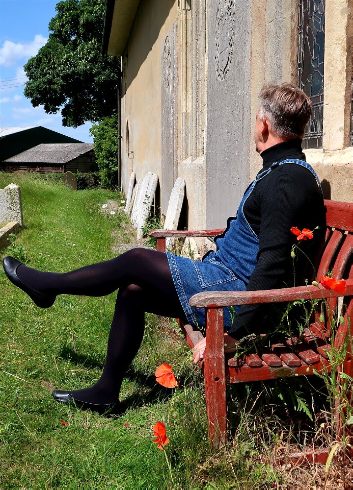 Poppies by a bench photo