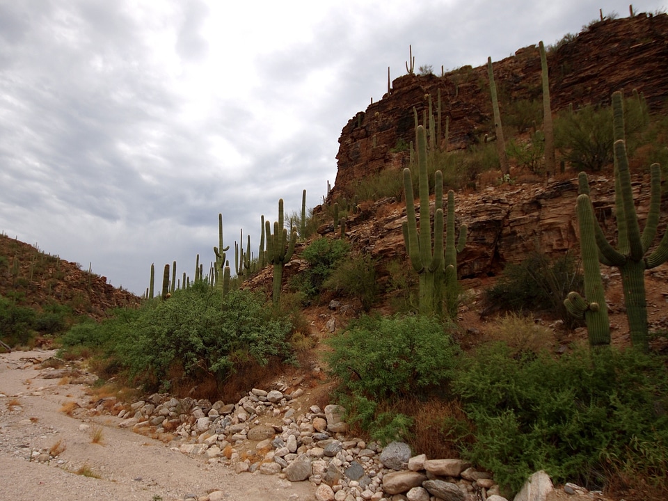 Desert Mountain Landscape in Tucson Arizona