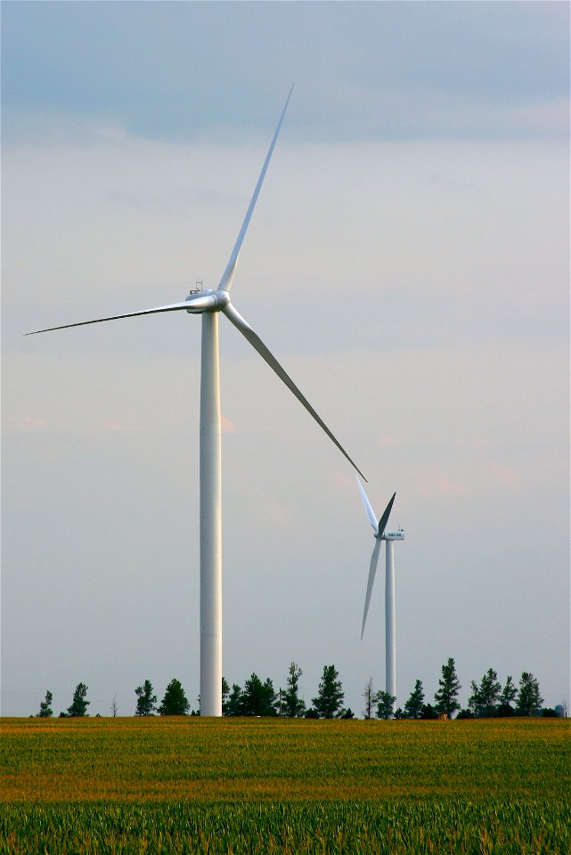 Windmills photo