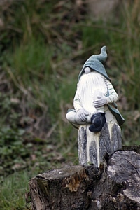 Gnome garden creatures photo