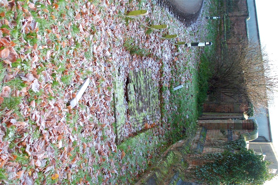 Gumley: Victorian weighing plate