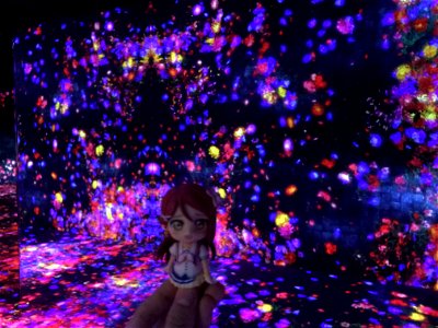 teamLab Borderless