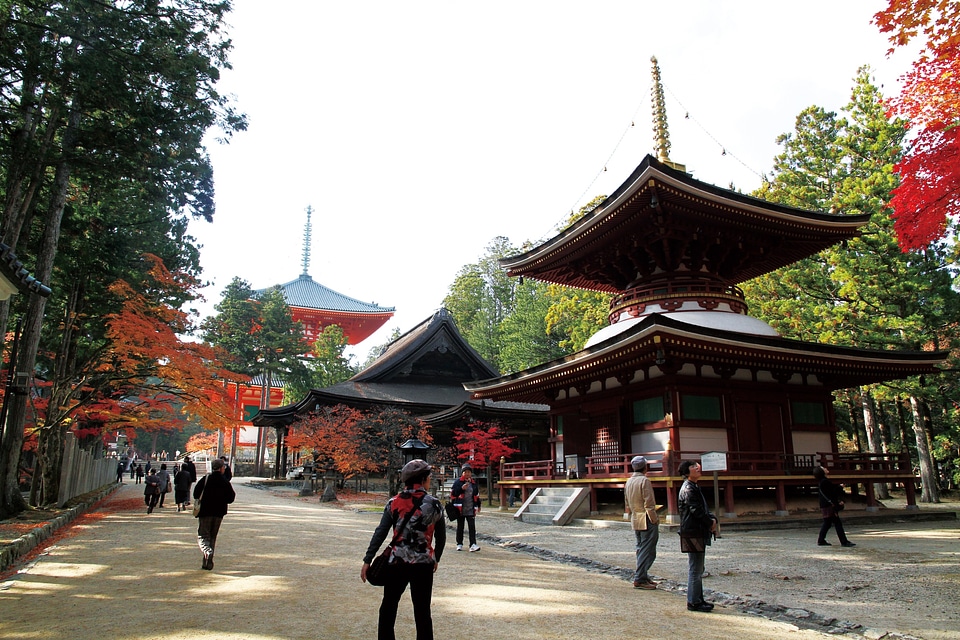 Pagoda in Koyasan,Kongobuji Temple Japan