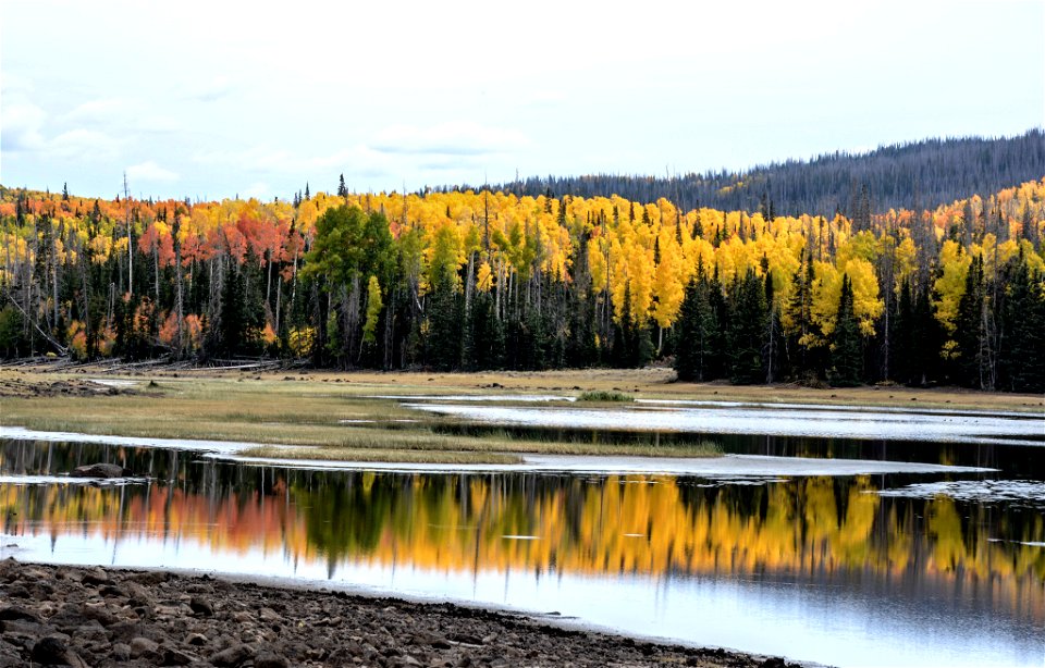 Fishlake National Forest