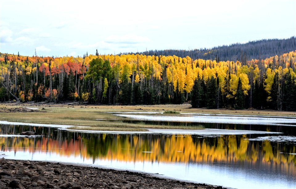 Fishlake National Forest photo