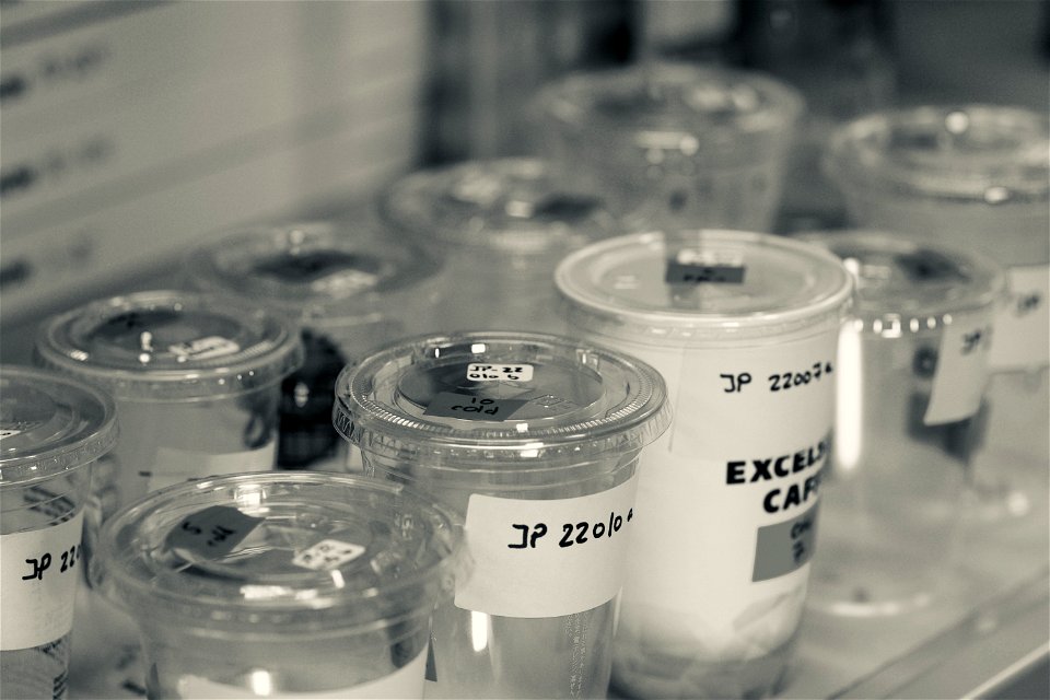 Sample Analysis