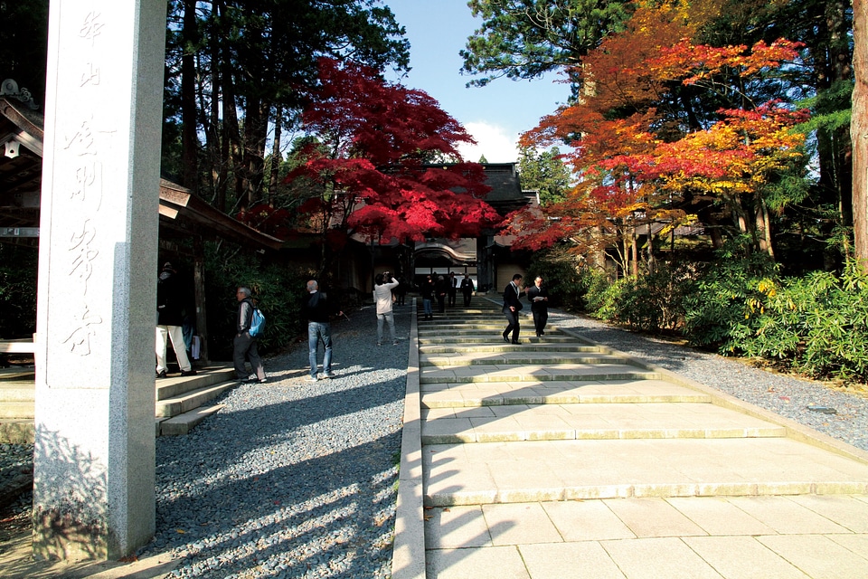 Kongobu-ji Temple, Mt. Koya
