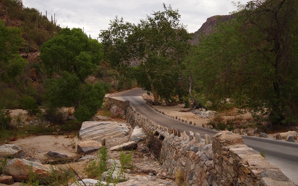 Sabino Canyon Walk
