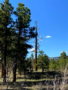 Flaming Gorge National Recreation Area