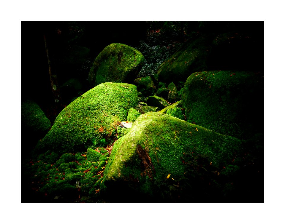 Moss rocks photo