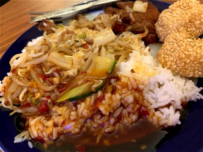 Chinese duck with Soja vegetables, rice, spicy souse and sesame balls as dessert served in a traditional chinese restaurant in Frankfurt DingDingSheng photo