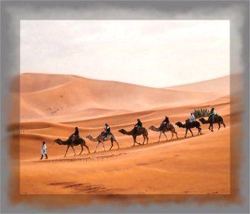 A desert ride on camels. Image Editor