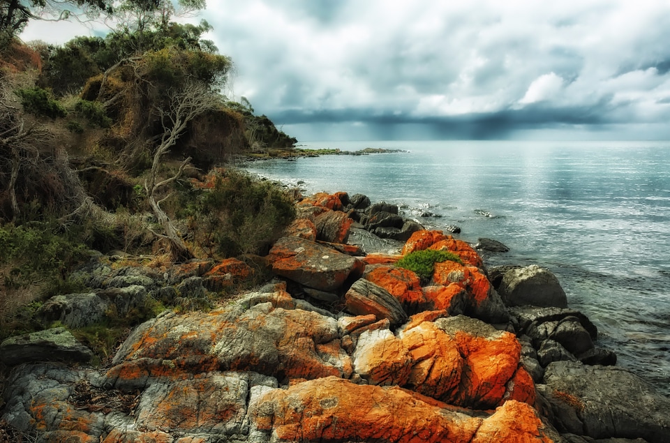 Beach houses at Boat Harbour, Tasmania, Australia