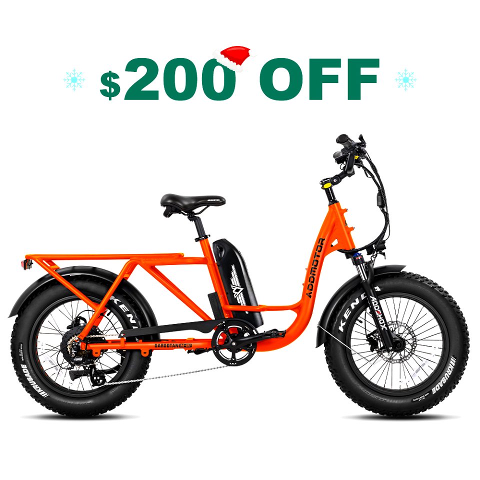 cargo electric bike