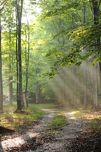 Sand Run Lake Trail - Timberline WV photo