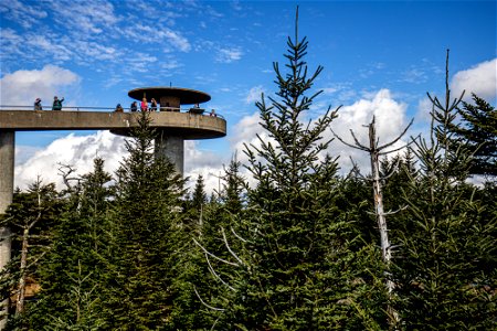 Clingman's Dome Great Smoky Mountains National Park photo