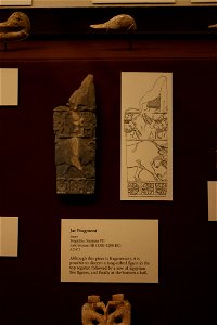 IMG_6471