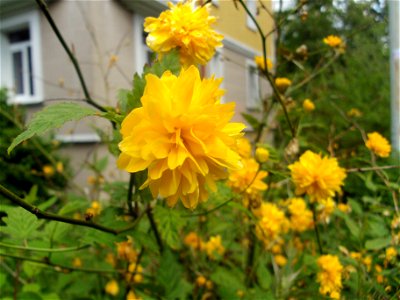 DSC01190
