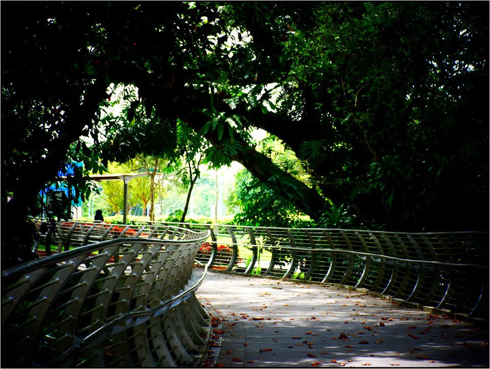 New Jalan Kayu bridge photo