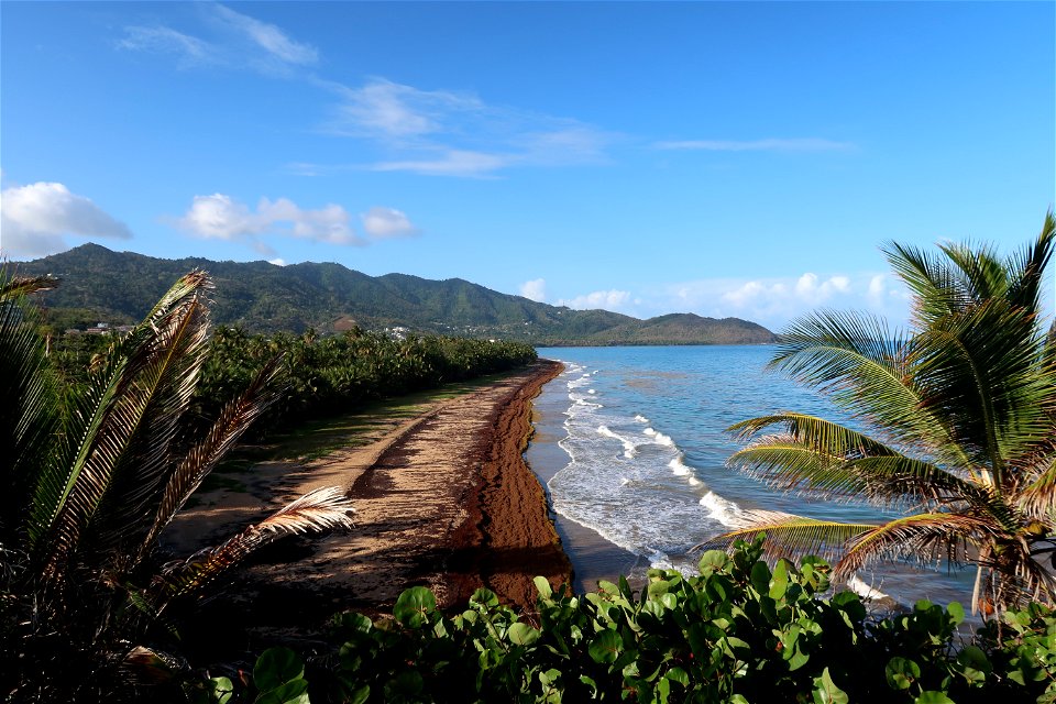Punta Tuna Beach 2021-05