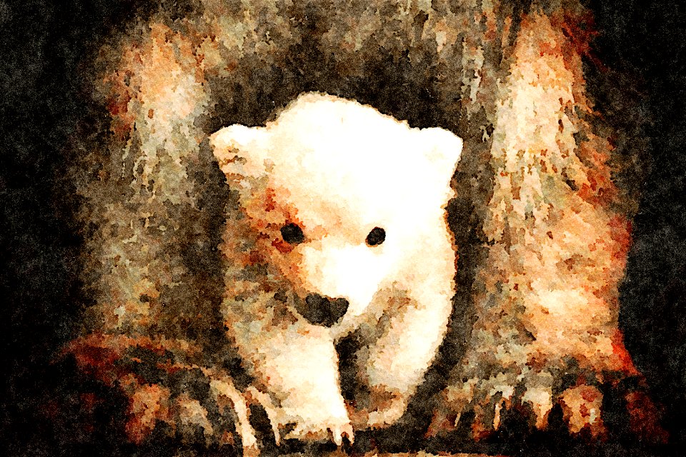 baby bear2