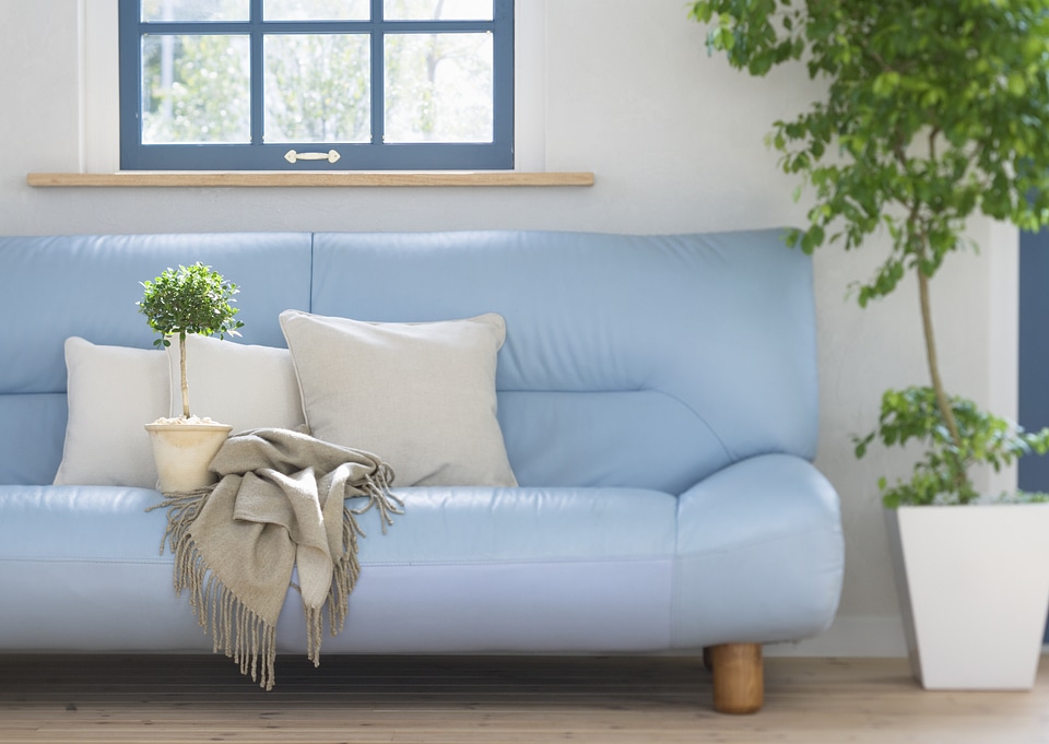 Interior of living room with blue sofa and window