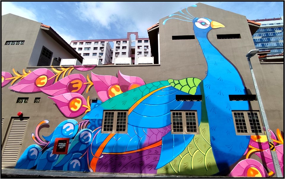 Peacock mural
