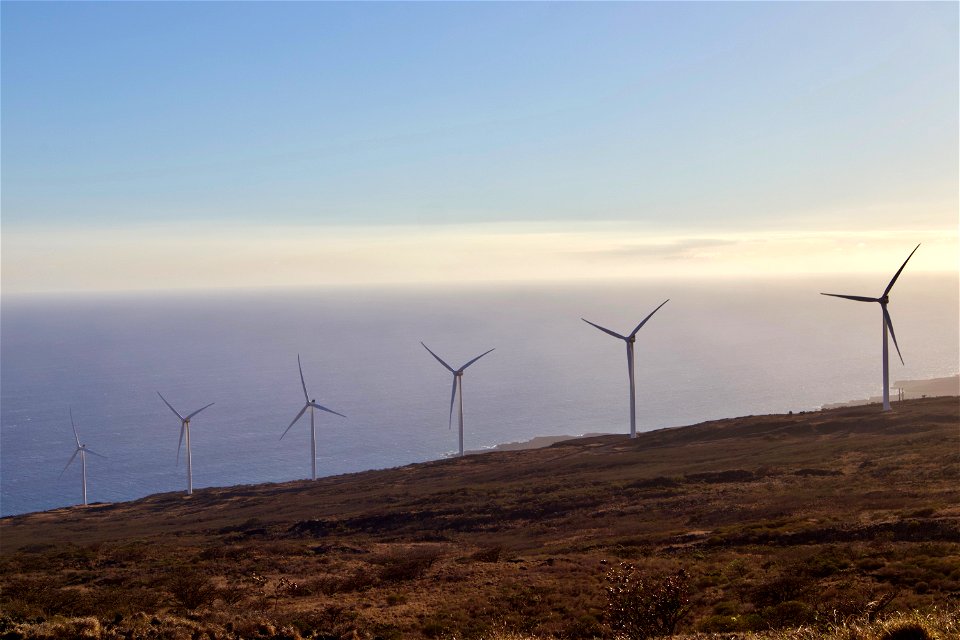 Southern Maui Windmills