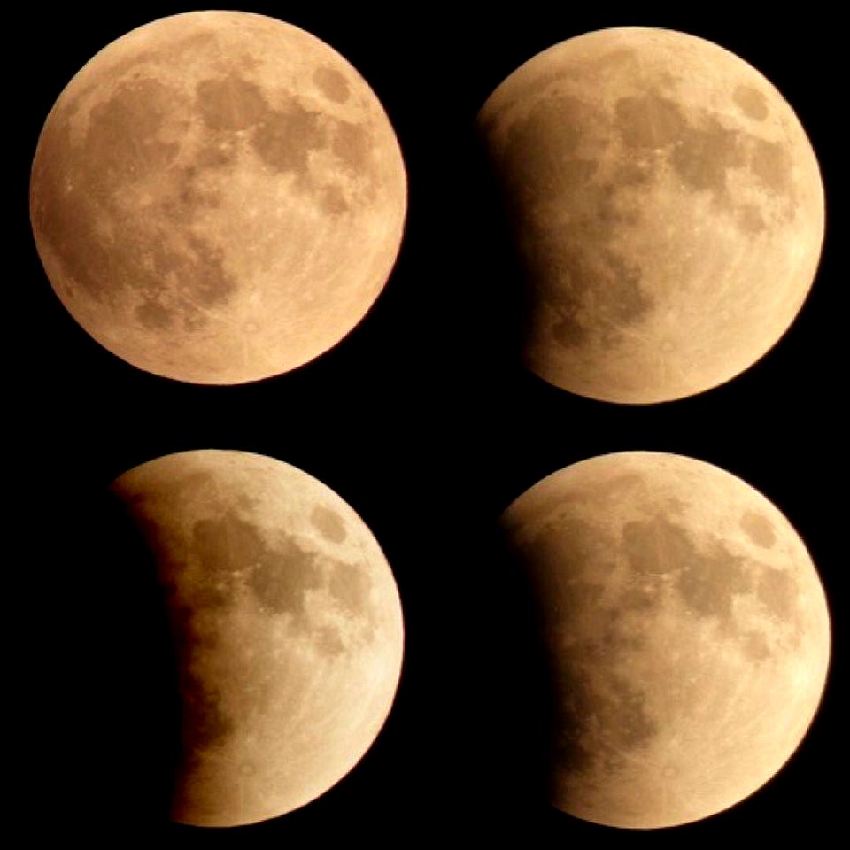 Supermoon + Lunar Eclipse 4 panel moon photo 2015 (public domain)