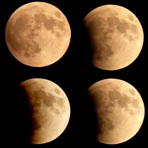 Supermoon + Lunar Eclipse 4 panel moon photo 2015 (public domain) photo
