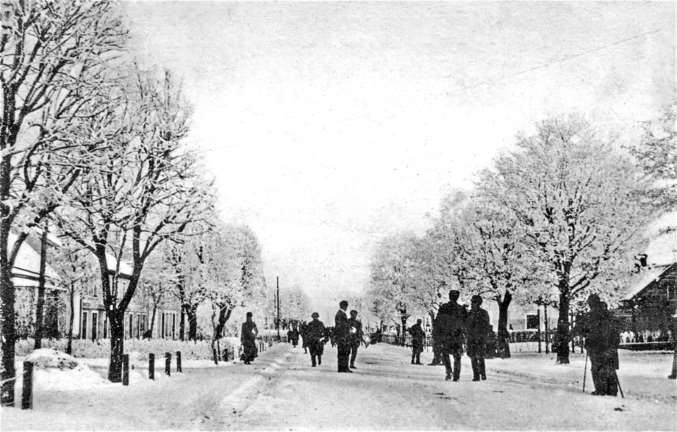 086 Parti av Storgatan 1903