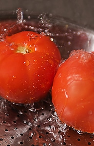 Two Fresh Tomatoes Being Washed Under Running Water photo