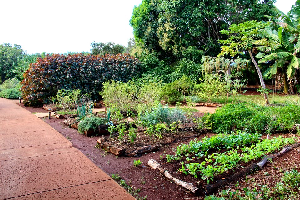 Old Fashioned Garden Beds