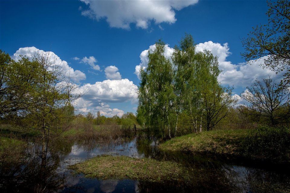 spring flood